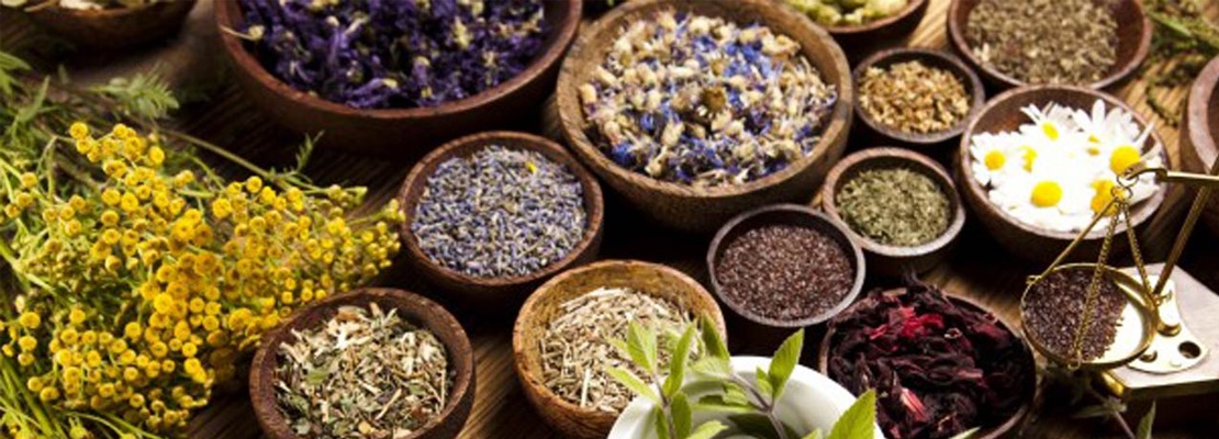 6th Global Summit on Herbals and Traditional Medicine
