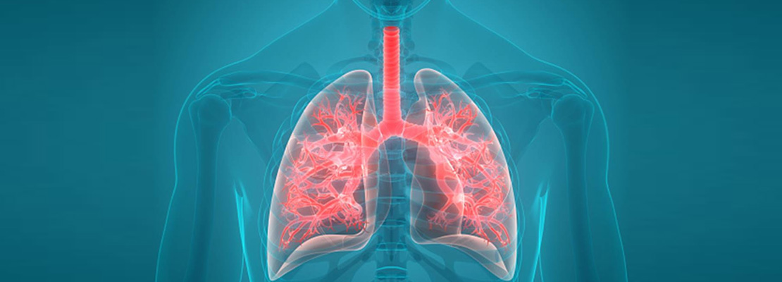 5th International Conference on Lung & Respiratory Disease