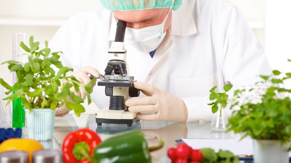 4th International Conference on Food Science and Technology