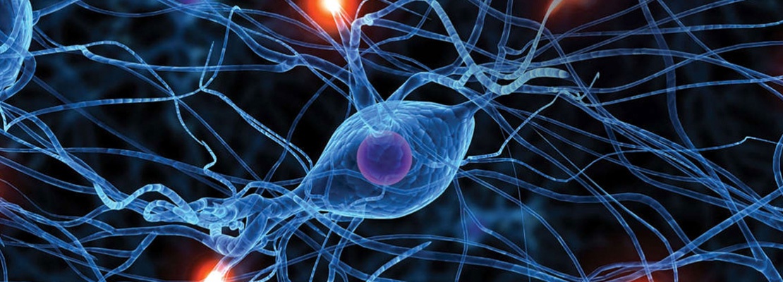 World Neuroscience and Neurology Conference