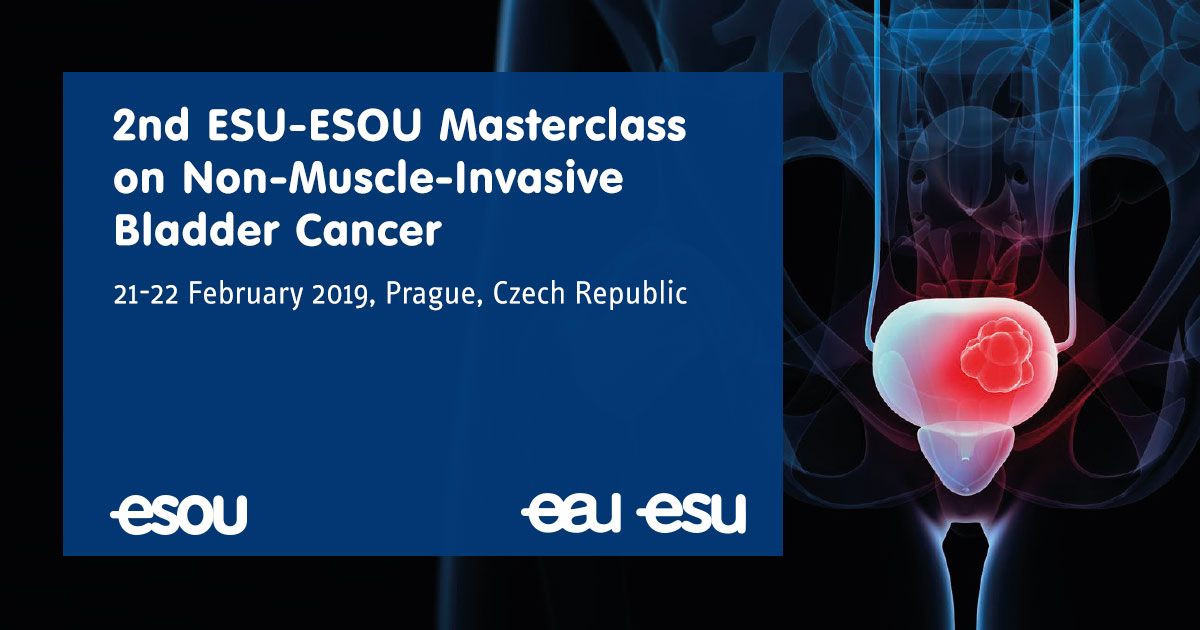 ESUESOU Masterclass on Non-Muscle-Invasive Bladder Cancer