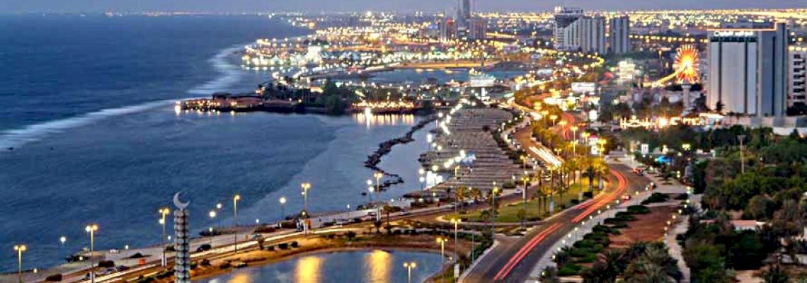 International Conference on Healthcare Supply Chain Management and Logistics