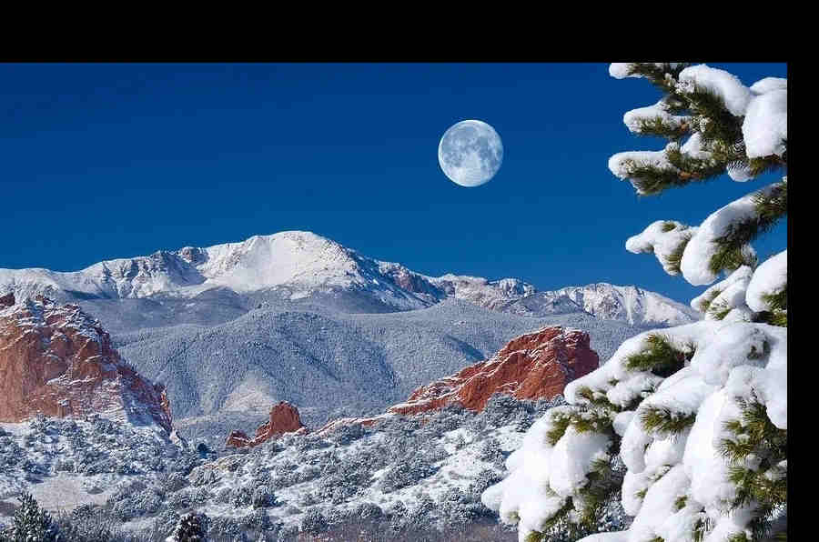 49TH Annual Winter Symposium