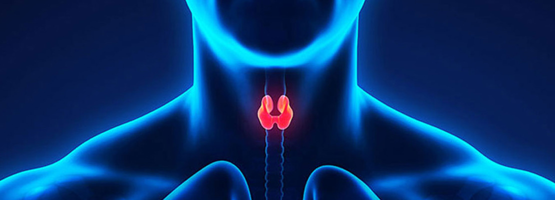Annual Congress on Endocrinology, Diabetes and Healthcare