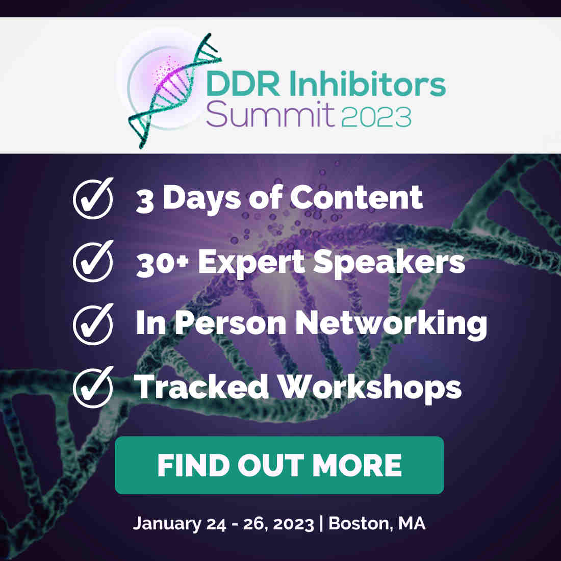 6th DDR Inhibitors Summit