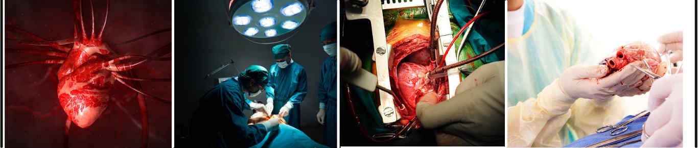 11th Annual Congress on Cardiology and Cardiac Surgery