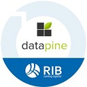 Datapine