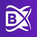 BlockchainX