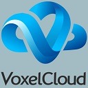VoxelCloud Inc.