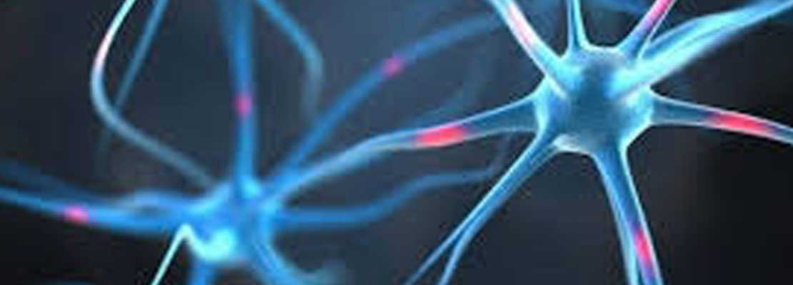 Precision Oncology Fall 2021