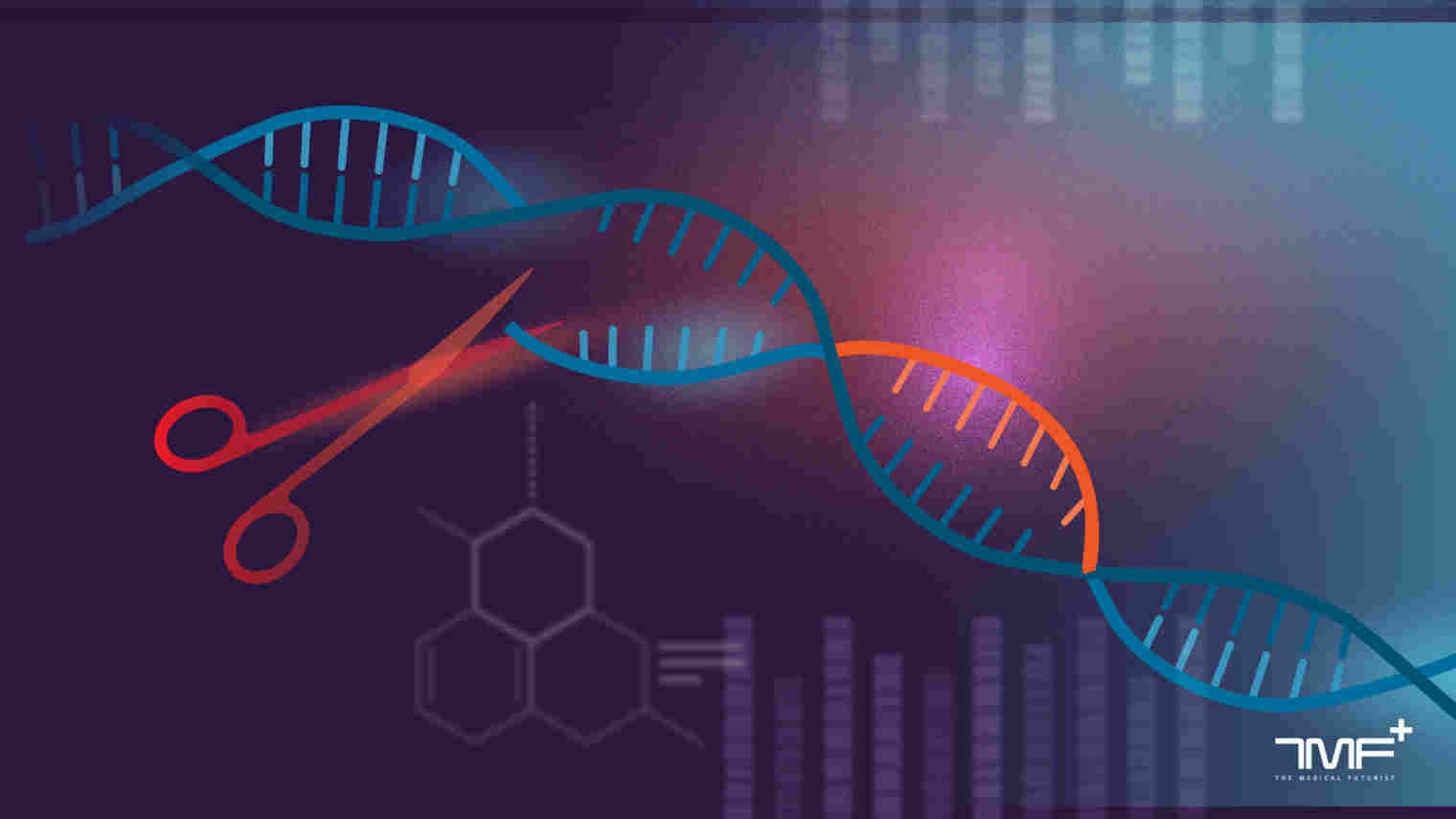 The State Of CRISPR Clinical Trials And Their Future Potentials