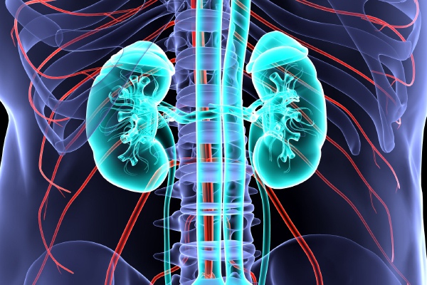 Nephrology and Transplantation for the Clinician Online CME Course